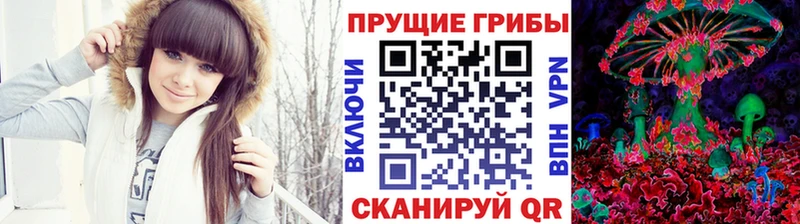 Псилоцибиновые грибы мухоморы  сайты даркнета телеграм  Владивосток 
